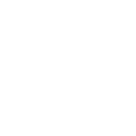 Capital Dance